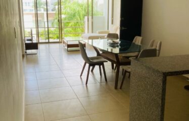 Departamento en Long Island, Midtown B.