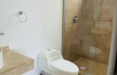 Departamento en Long Island, Midtown B.